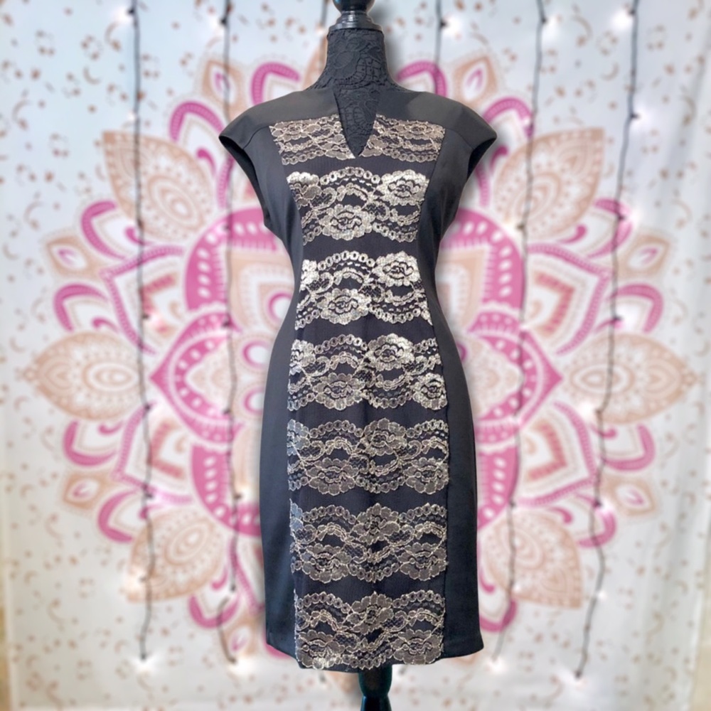 HPX2 🎉Connected Apparel Dress Sally Sheath Career